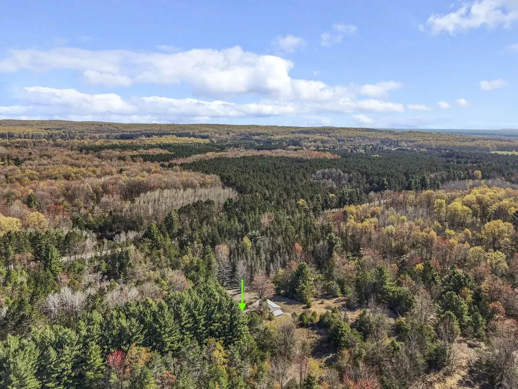 15367/10 Acres Wallin Road Colfax Township MI 49683