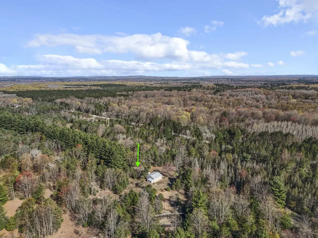 15367/10 Acres Wallin Road Colfax Township MI 49683