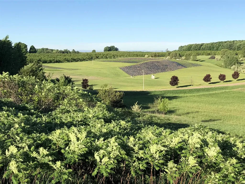 11751 Center Road Peninsula Township MI 49686