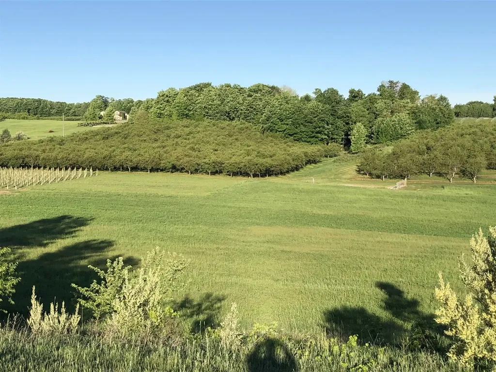 11751 Center Road Peninsula Township MI 49686