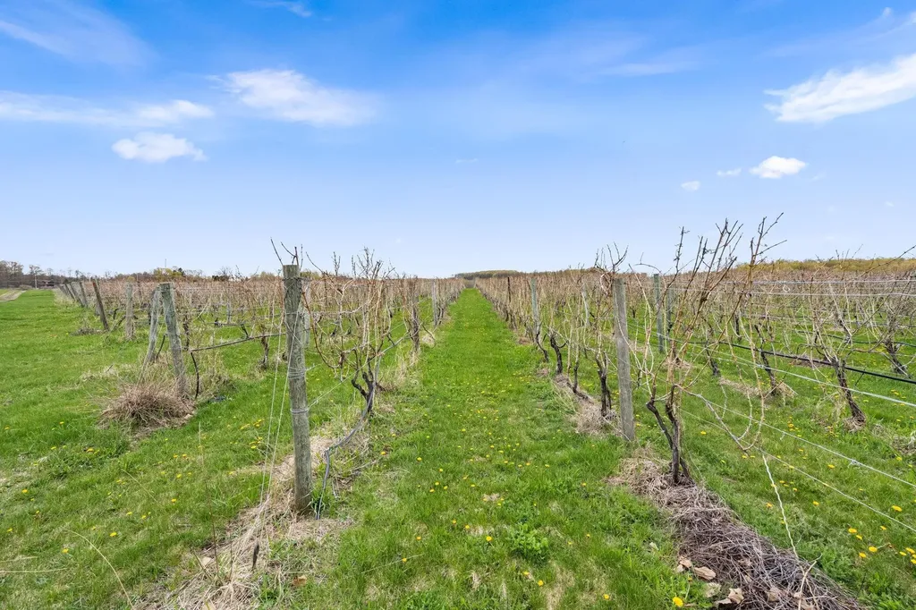 11751 Center Road Peninsula Township MI 49686