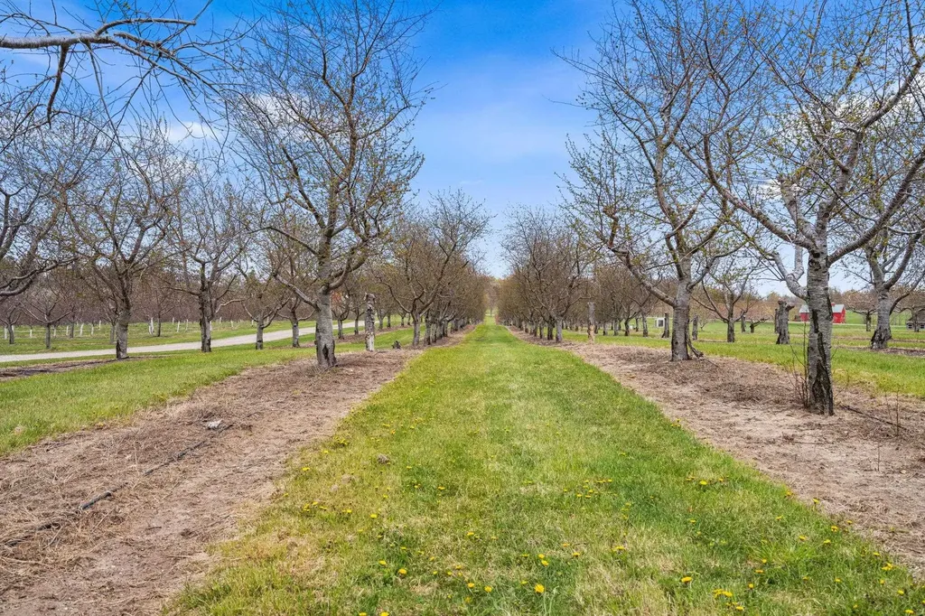 11751 Center Road Peninsula Township MI 49686