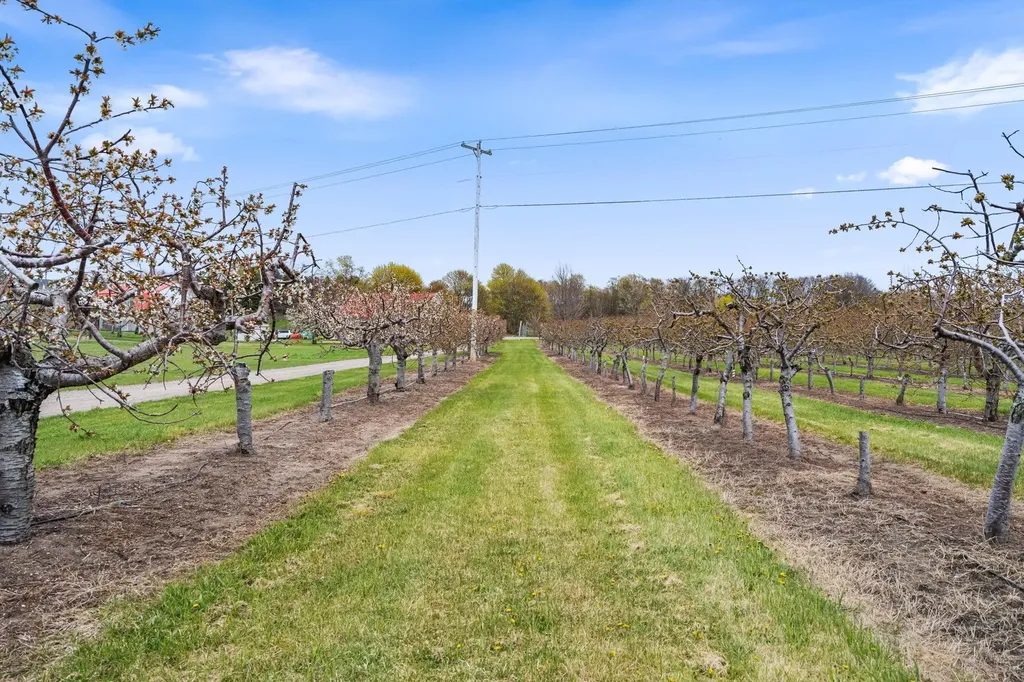 11751 Center Road Peninsula Township MI 49686
