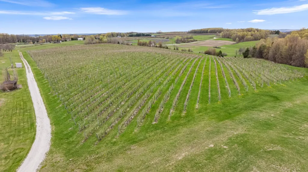 11751 Center Road Peninsula Township MI 49686