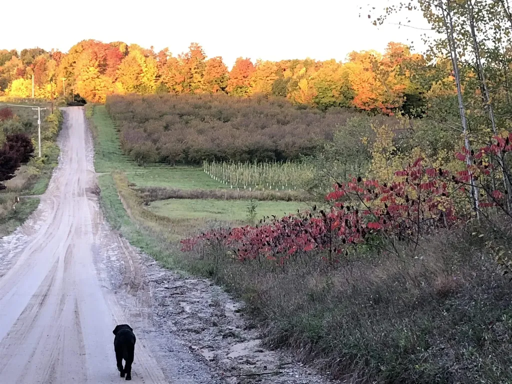 11751 Center Road Peninsula Township MI 49686