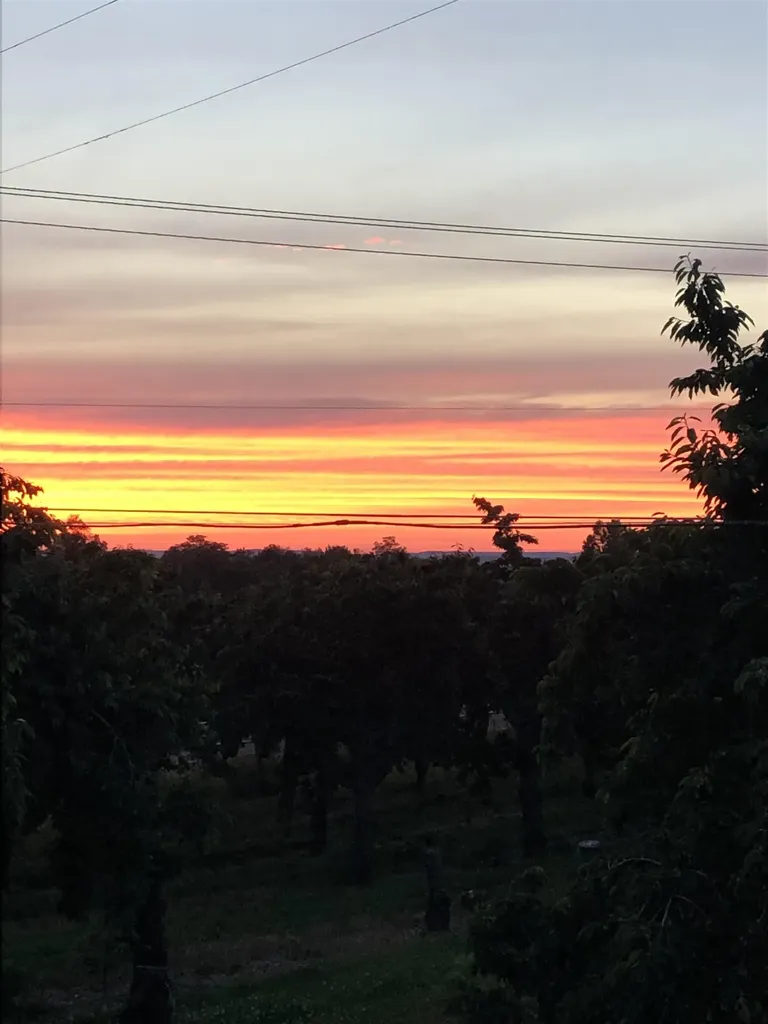 11751 Center Road Peninsula Township MI 49686