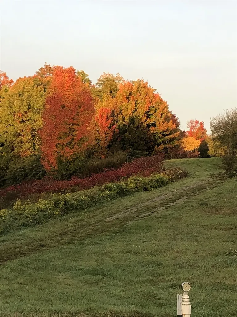 11751 Center Road Peninsula Township MI 49686