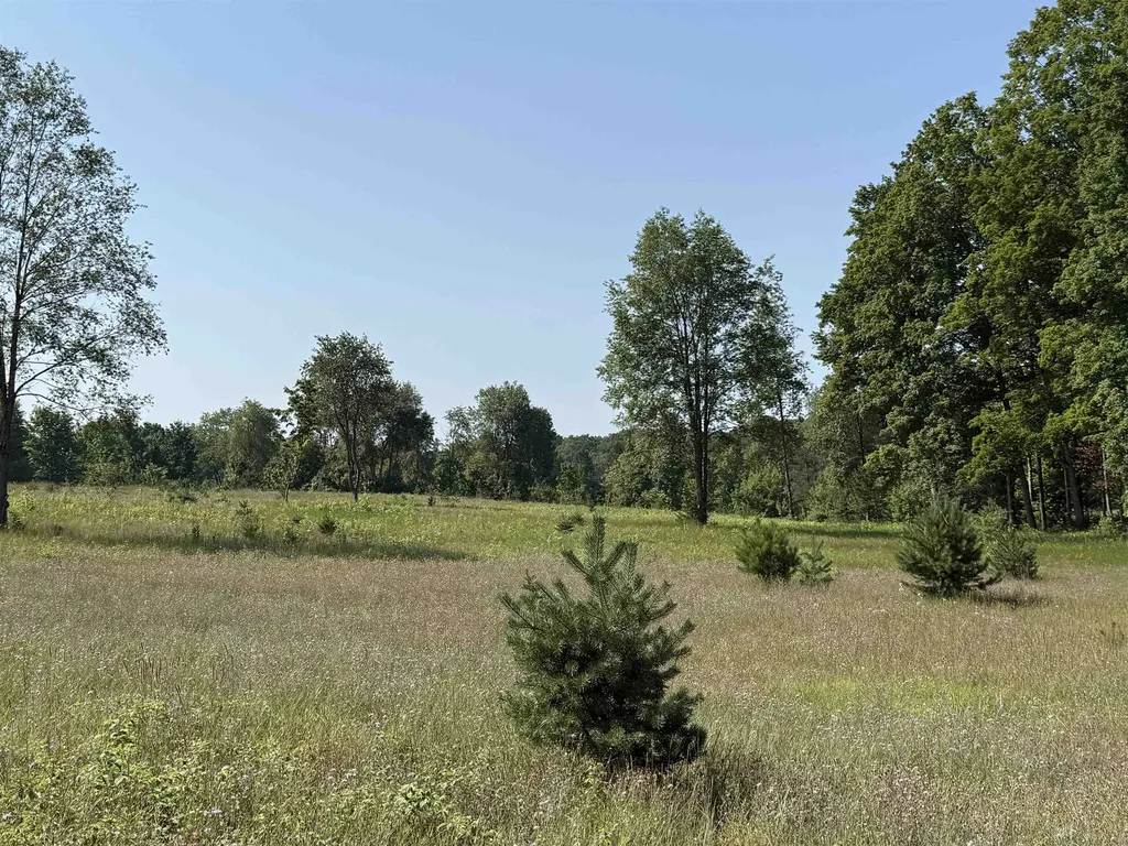 Parcel A 6 S Bright Road Kasson Township MI 49664