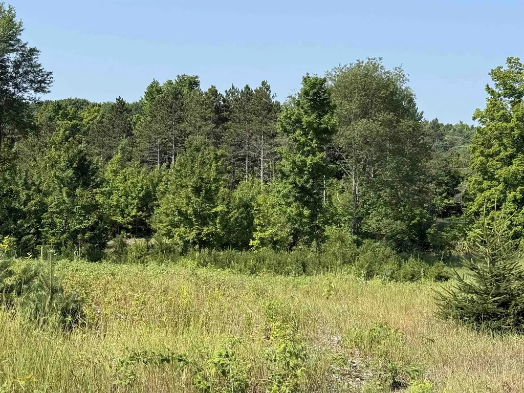 Parcel A 6 S Bright Road Kasson Township MI 49664