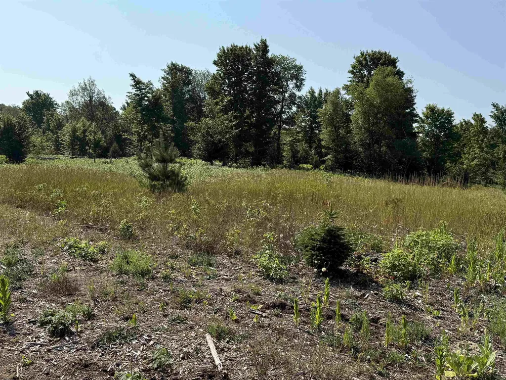 Parcel A 6 S Bright Road Kasson Township MI 49664
