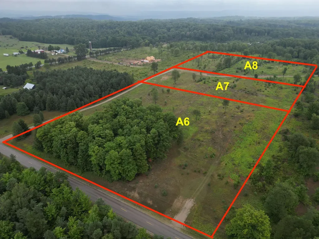 Parcel A 6 S Bright Road Kasson Township MI 49664