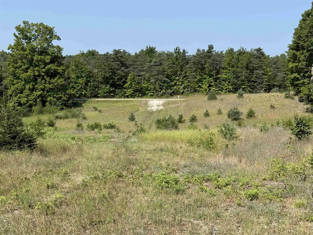 Parcel A 6 S Bright Road Kasson Township MI 49664