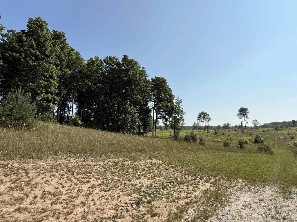 Parcel A 6 S Bright Road Kasson Township MI 49664