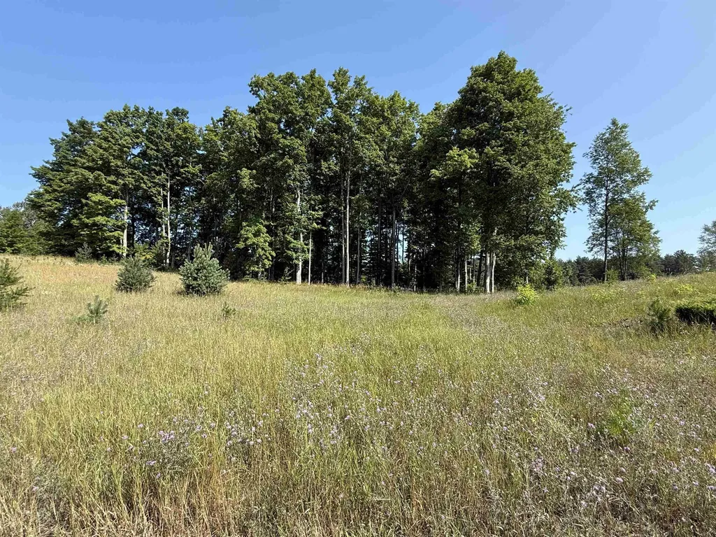 Parcel A 6 S Bright Road Kasson Township MI 49664