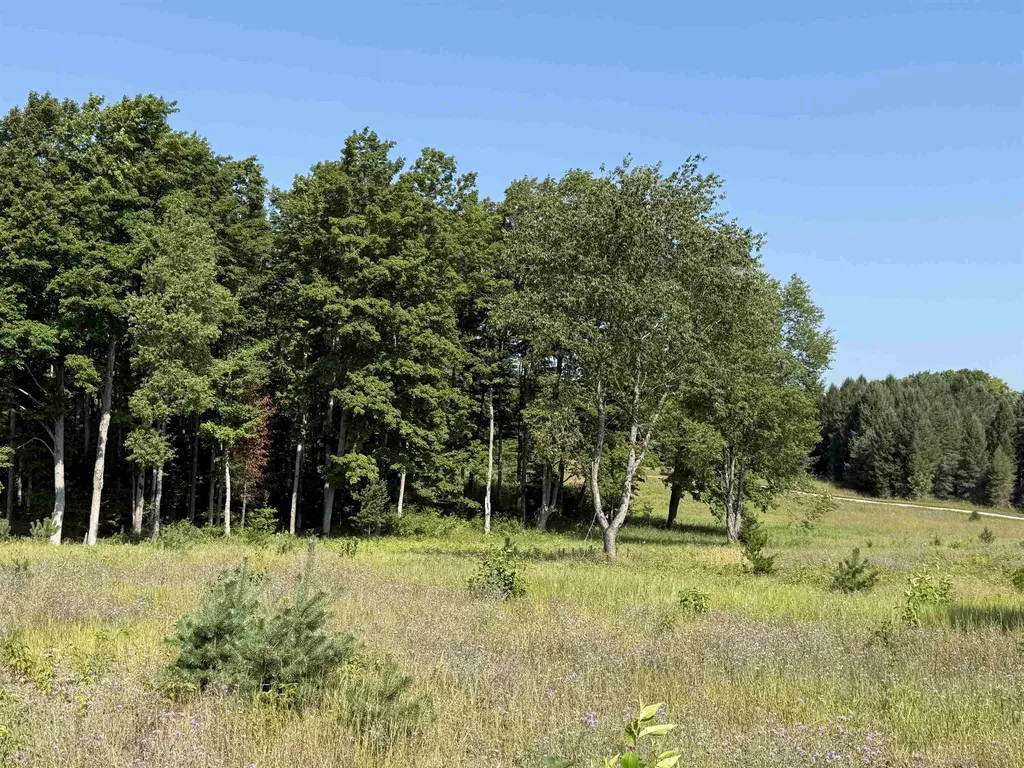 Parcel A 6 S Bright Road Kasson Township MI 49664