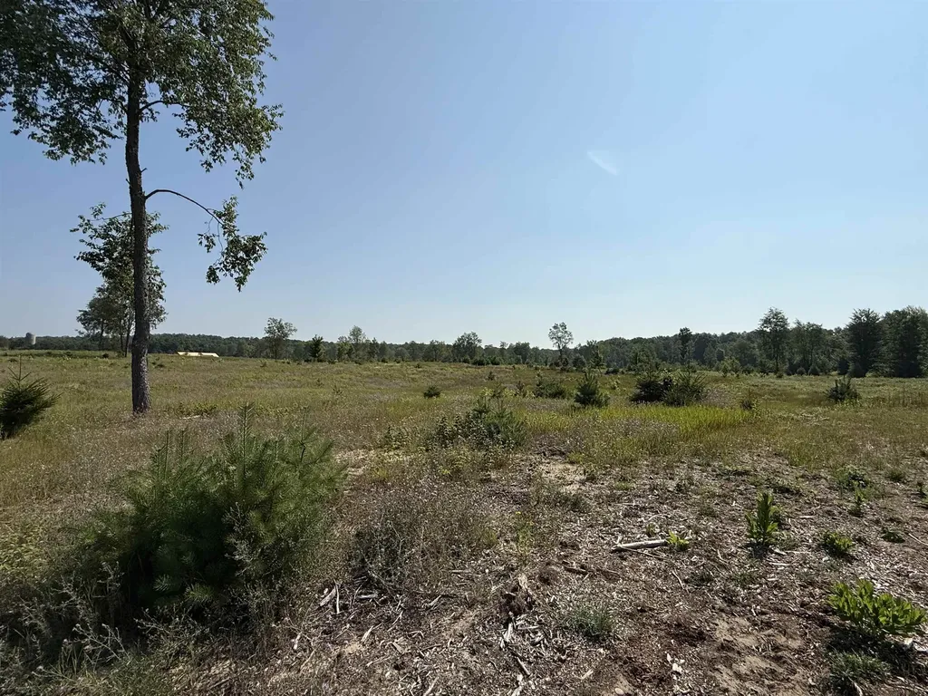 Parcel A 6 S Bright Road Kasson Township MI 49664