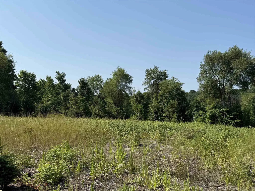 Parcel A 6 S Bright Road Kasson Township MI 49664