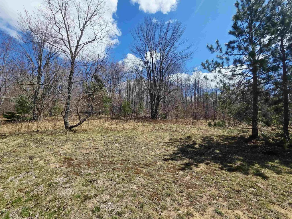 5144 Aaron Road Maple Forest Township MI 49733