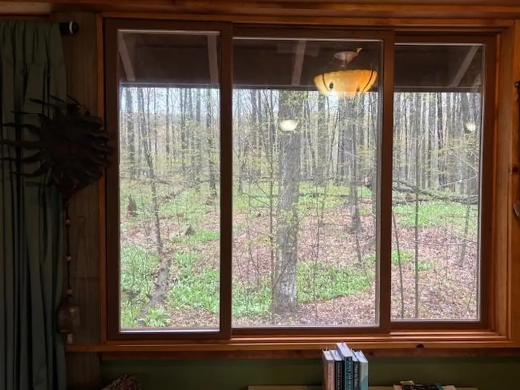 5565 Somich Trail Chestonia Township MI 49659
