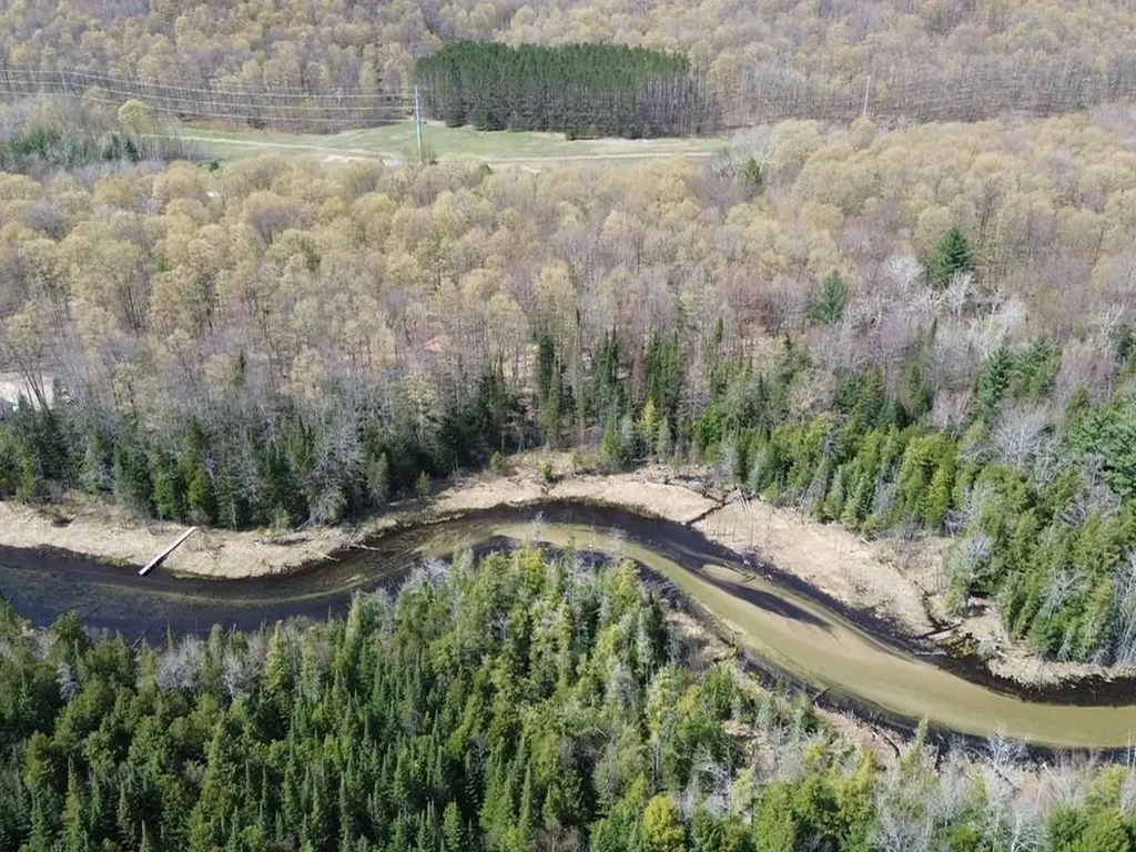 5565 Somich Trail Chestonia Township MI 49659