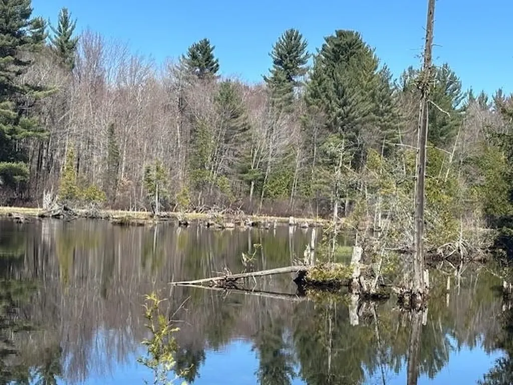 5565 Somich Trail Chestonia Township MI 49659
