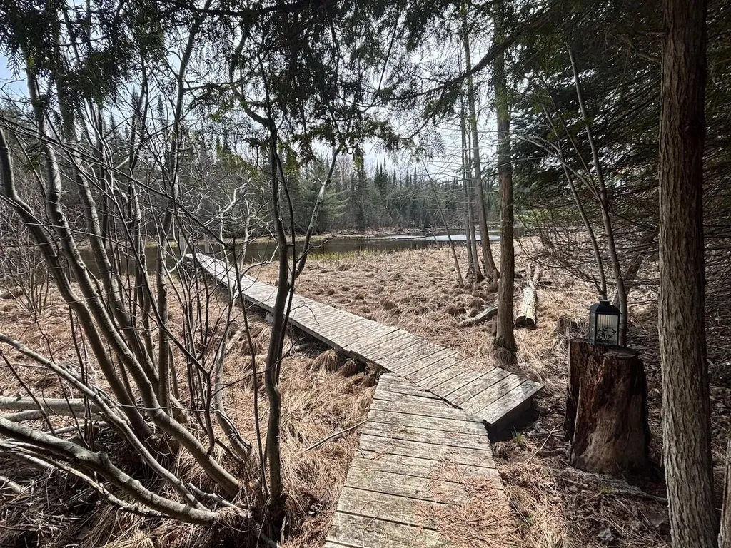 5565 Somich Trail Chestonia Township MI 49659