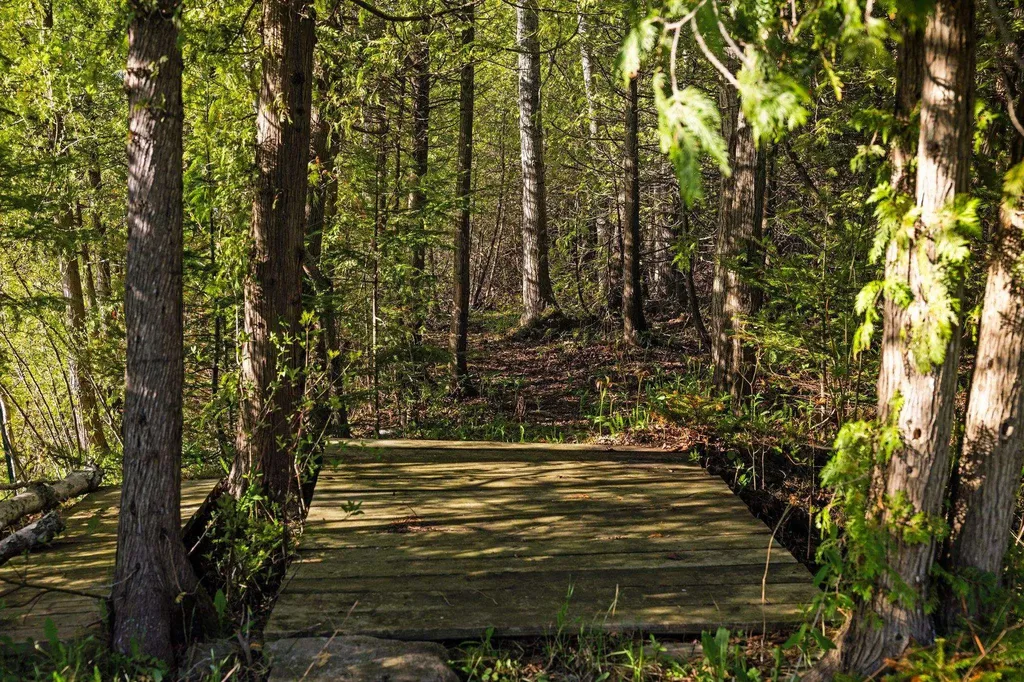 9371 N Onominese Trail Leelanau Township MI 49670