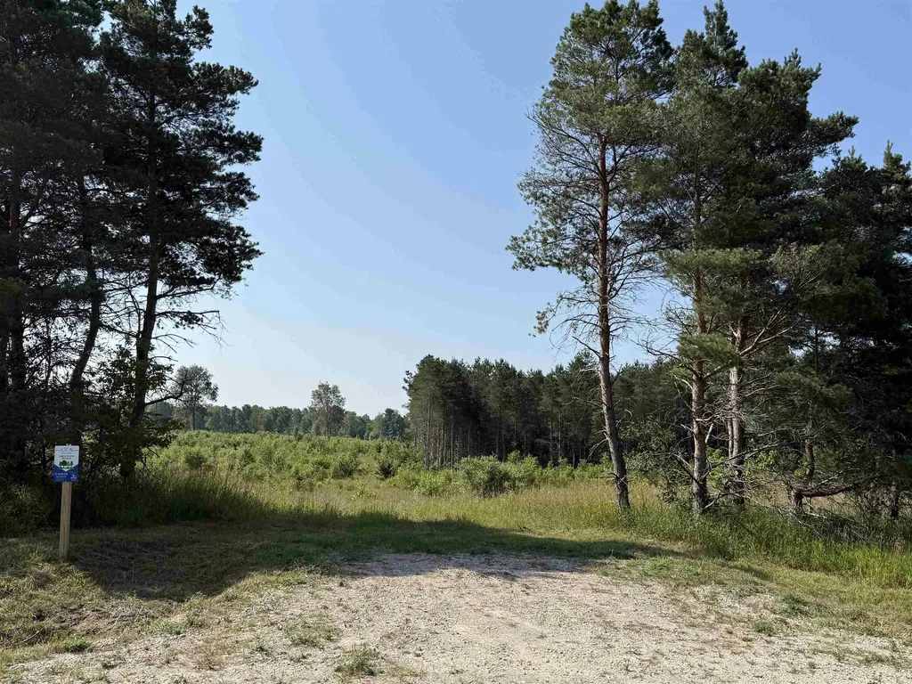 Parcel A 1 E Kasson Road Kasson Township MI 49664