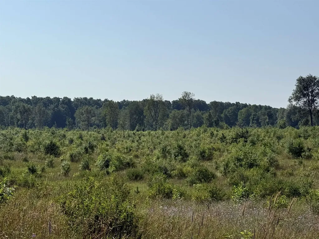 Parcel A 1 E Kasson Road Kasson Township MI 49664