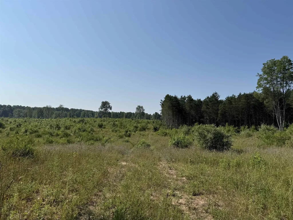 Parcel A 1 E Kasson Road Kasson Township MI 49664