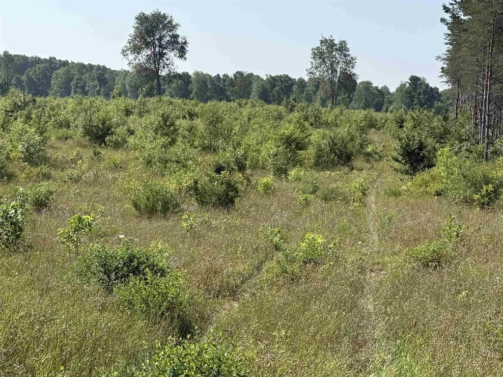 Parcel A 1 E Kasson Road Kasson Township MI 49664