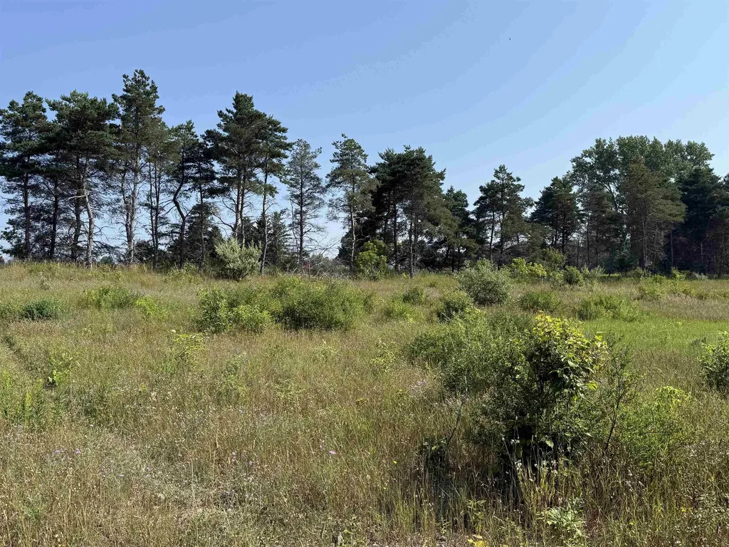 Parcel A 1 E Kasson Road Kasson Township MI 49664