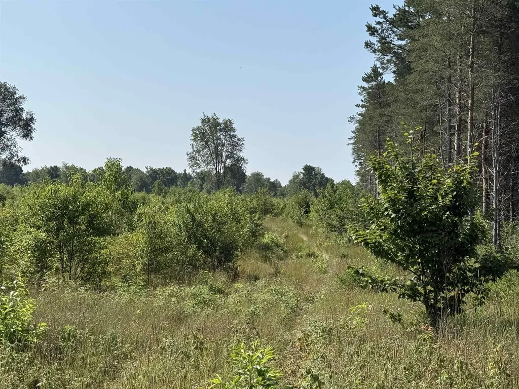 Parcel A 1 E Kasson Road Kasson Township MI 49664