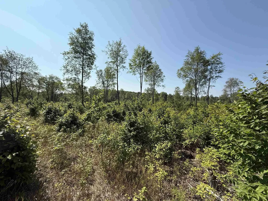Parcel A 3 E Kasson Road Kasson Township MI 49664