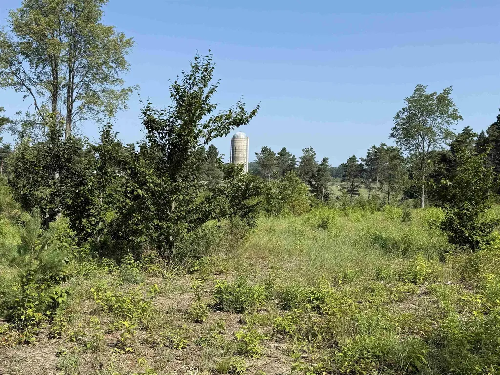 Parcel A 3 E Kasson Road Kasson Township MI 49664