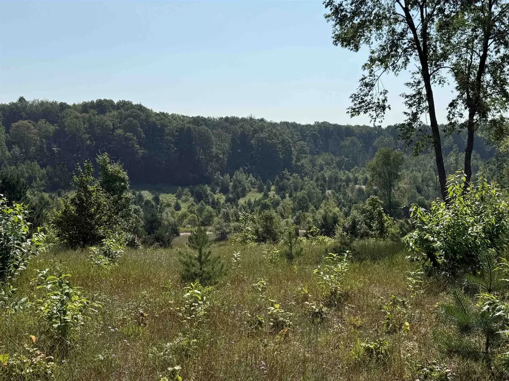 Parcel A 3 E Kasson Road Kasson Township MI 49664