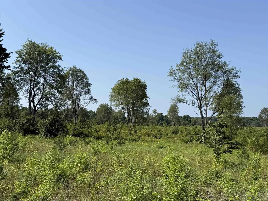 Parcel A 3 E Kasson Road Kasson Township MI 49664
