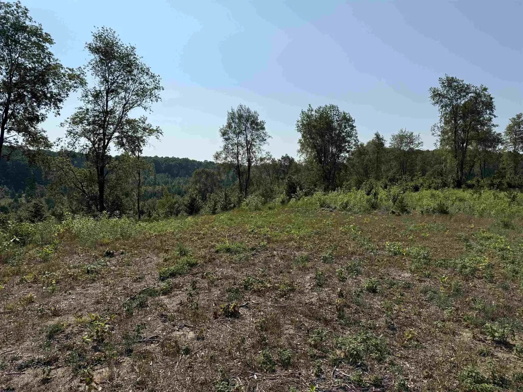 Parcel A 3 E Kasson Road Kasson Township MI 49664