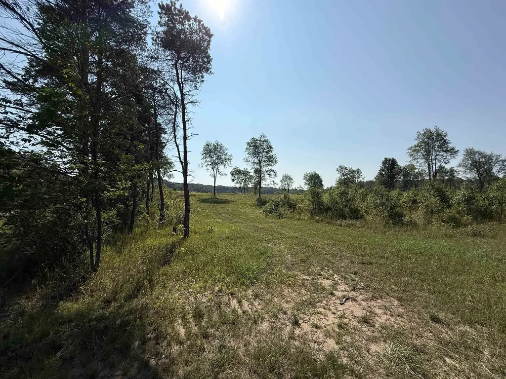Parcel A 3 E Kasson Road Kasson Township MI 49664