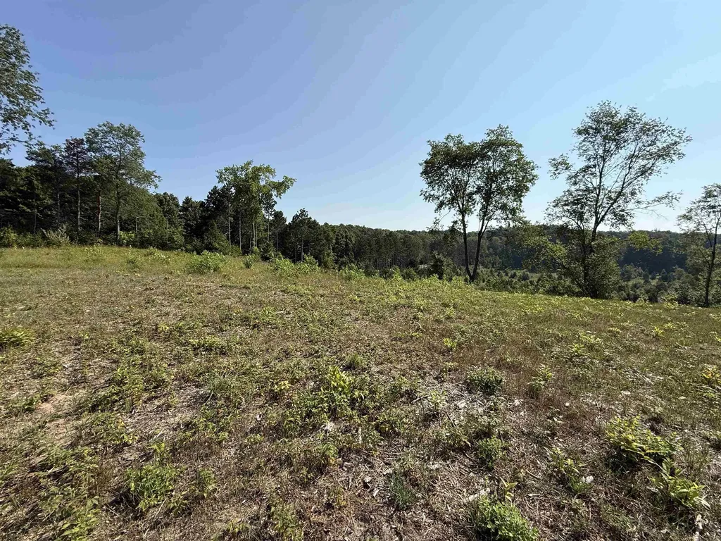 Parcel A 3 E Kasson Road Kasson Township MI 49664