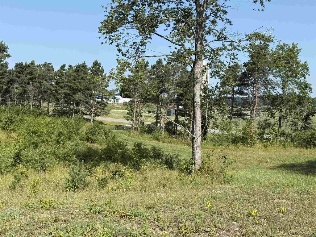 Parcel A 3 E Kasson Road Kasson Township MI 49664
