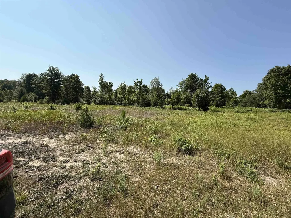 Parcel A 7 S Bright Road Kasson Township MI 49664