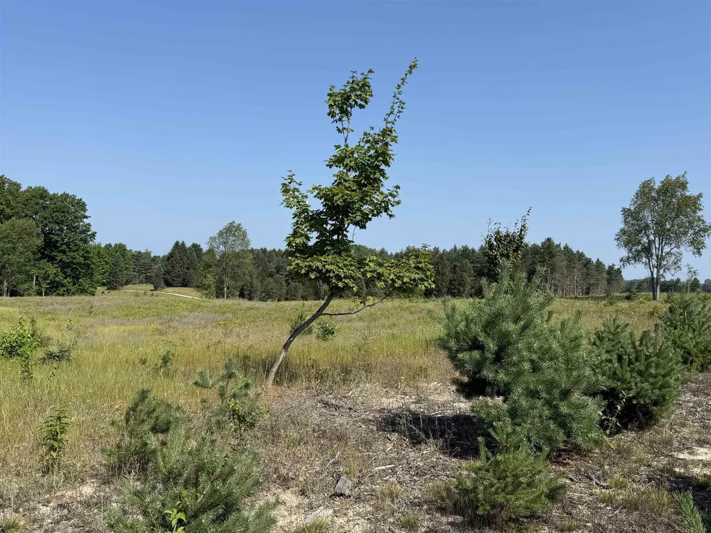 Parcel A 7 S Bright Road Kasson Township MI 49664