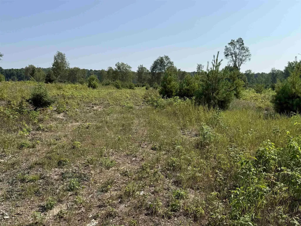 Parcel A 7 S Bright Road Kasson Township MI 49664