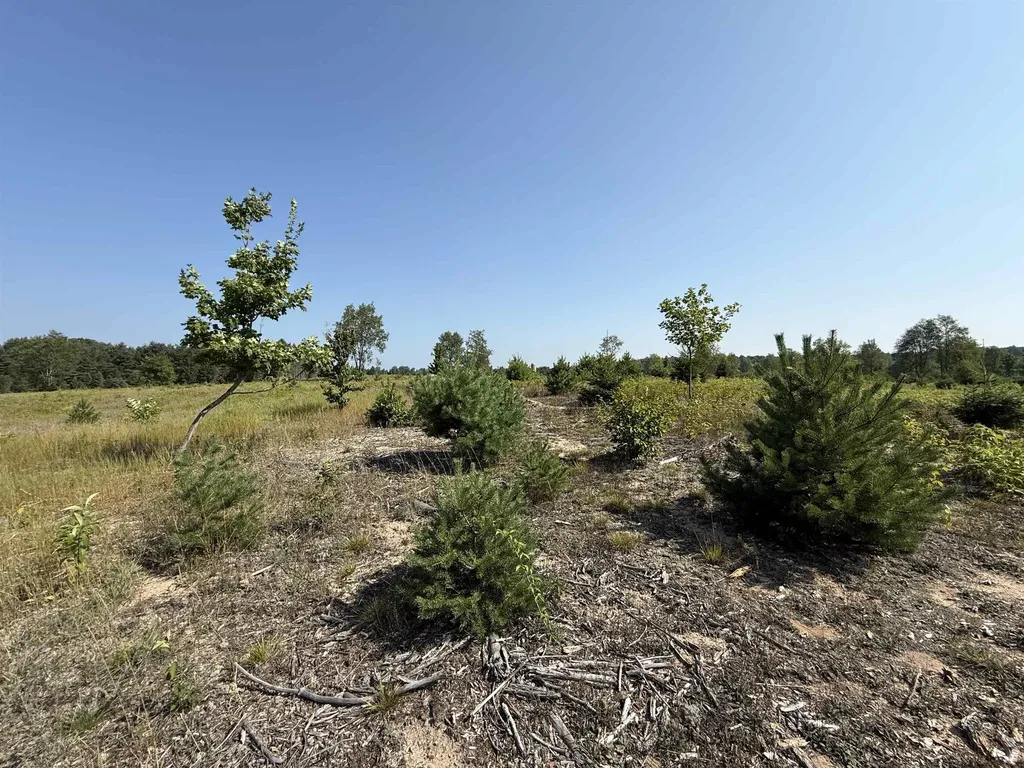 Parcel A 7 S Bright Road Kasson Township MI 49664