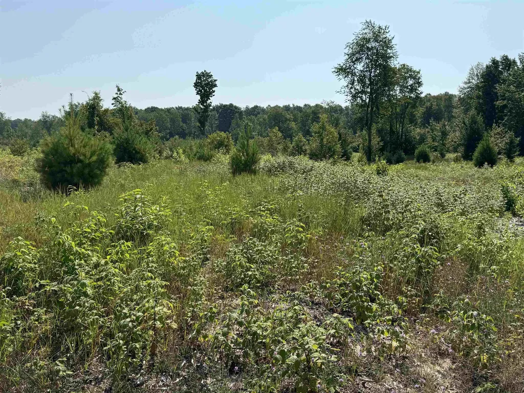 Parcel A 7 S Bright Road Kasson Township MI 49664