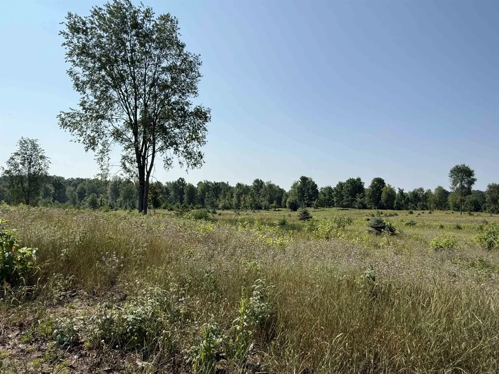 Parcel A 7 S Bright Road Kasson Township MI 49664