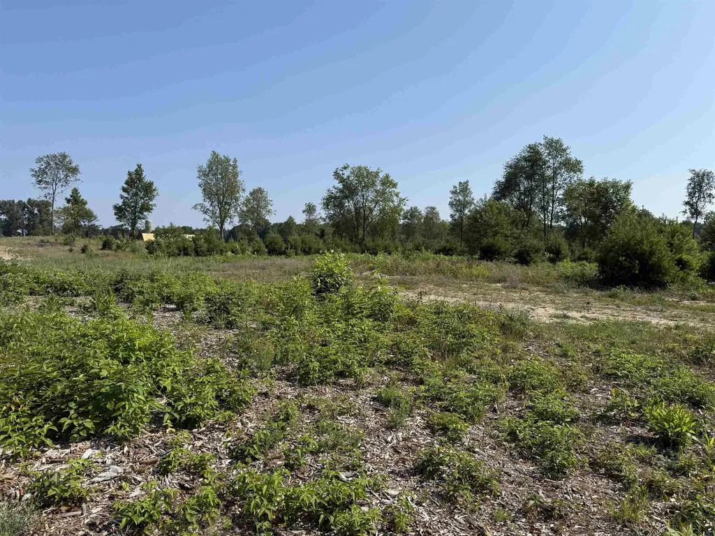 Parcel A 8 S Bright Road Kasson Township MI 49664