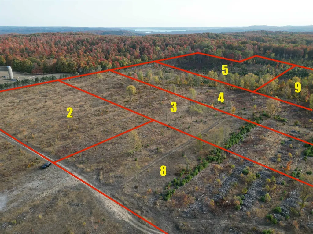 Parcel A 8 S Bright Road Kasson Township MI 49664