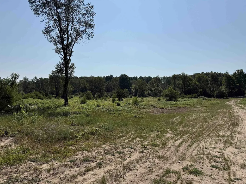 Parcel A 8 S Bright Road Kasson Township MI 49664
